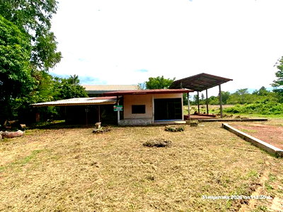 ขายบ้านเดี่ยว : บ้านเดี่ยว 5520 ตร.วา ชานุมาน อำนาจเจริญ 10.2M