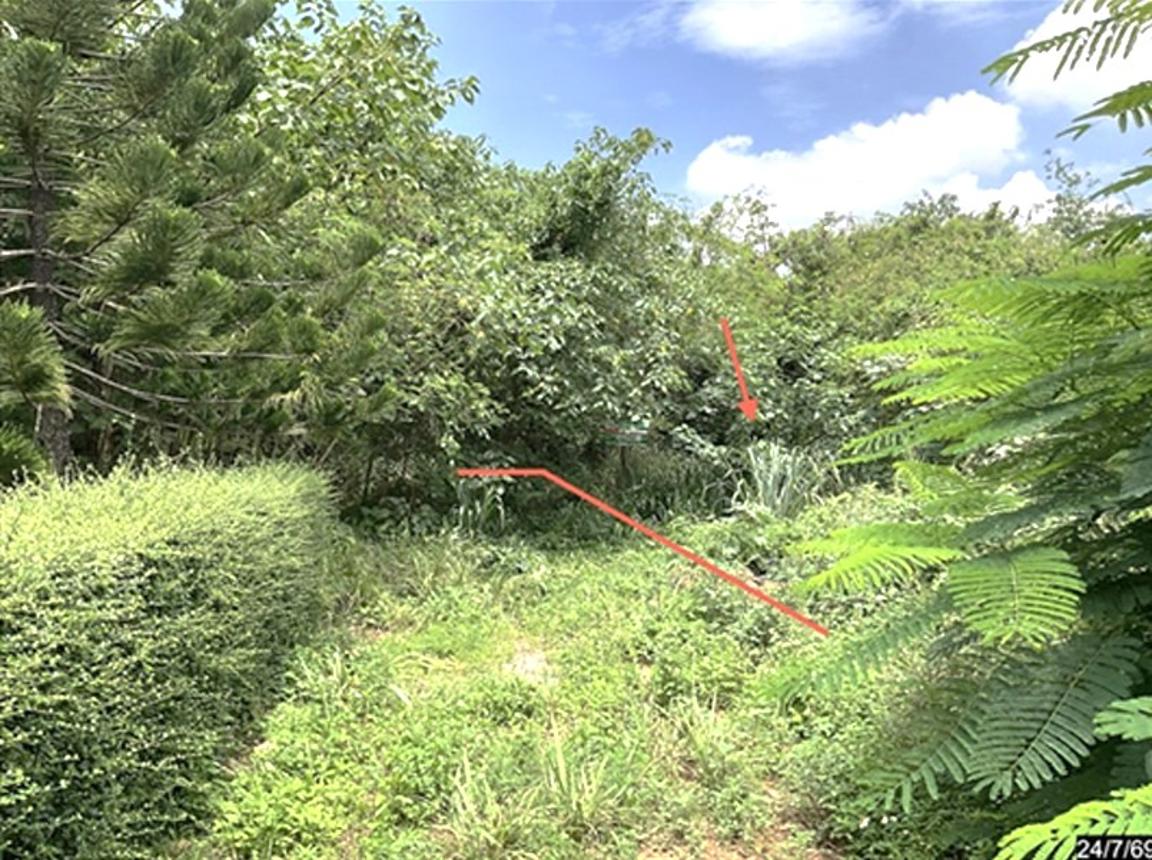 รูป ที่ดินว่างเปล่า 827 ตร.วา ภูริพิมาน ปากช่อง นครราชสีมา 3.5M - รูปที่ 10/19