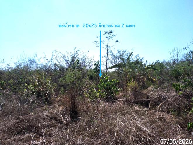 รูป เพิงอเนกประสงค์ 3197.3 ตร.วา ฮอด เชียงใหม่ 3.6M - รูปที่ 9/25