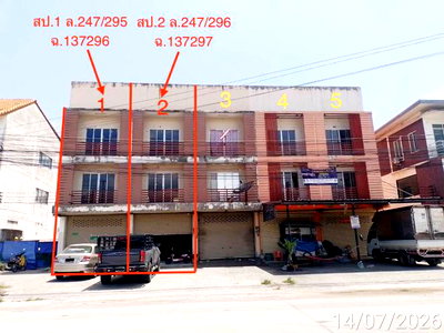 อาคารพาณิชย์ ชลบุรี : อาคารพาณิชย์ 43.8 ตร.วา บ้านสวนทอง แนชเชอรัล พาร์ค  6 ศรีราชา ชลบุรี 4.2M