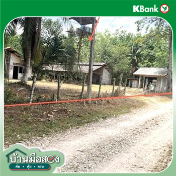 picture LAND 1709.6 Sq.w. Pa Bon Phatthalung for 2.5M - 23/25