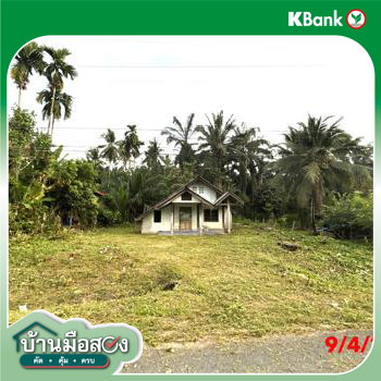 รูป บ้านเดี่ยว 265 ตร.วา ชัยบุรี สุราษฎร์ธานี 1.7M - รูปที่ 25/27