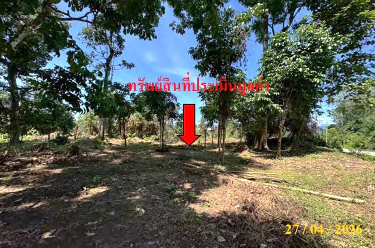 รูป ที่ดินว่างเปล่า 440 ตร.วา ศรีสาคร นราธิวาส 660,000 - รูปที่ 10/15