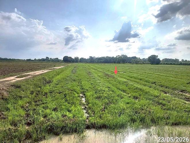 picture LAND 2647 Sq.w. Phayakkhaphum Phisai Maha Sarakham for 929,000 - 7/23