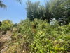 listing thumbnail image 16