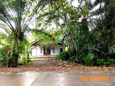 บ้านเดี่ยว กระบี่ : บ้านเดี่ยว 268 ตร.วา เขาพนม กระบี่ 1.7M
