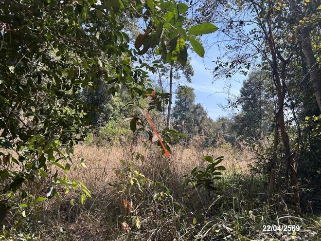 รูป โกดัง 8948 ตร.วา เดชอุดม อุบลราชธานี 13.5M - รูปที่ 22/49