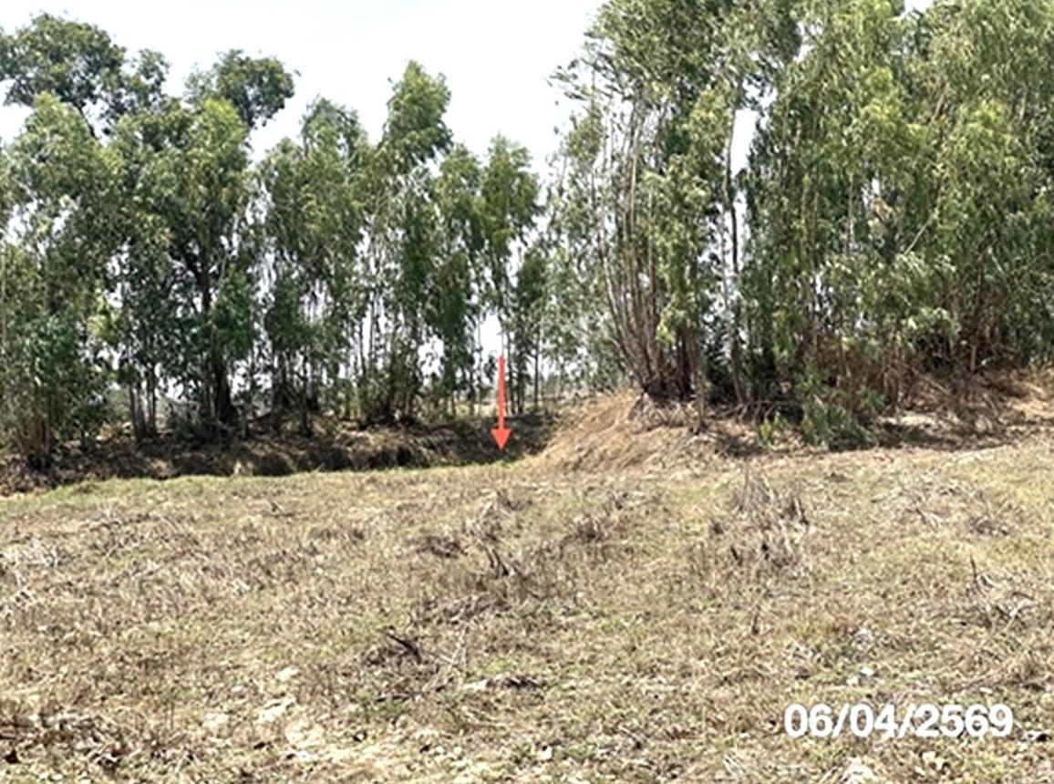 รูป ที่ดินว่างเปล่า 1171 ตร.วา มหาชนะชัย ยโสธร 330,000 - รูปที่ 16/23