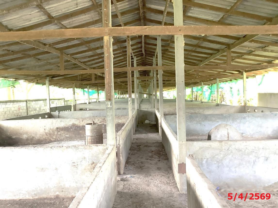 รูป ฟาร์ม 2259.1 ตร.วา เฉลิมพระเกียรติ นครศรีธรรมราช 7.2M - รูปที่ 20/33
