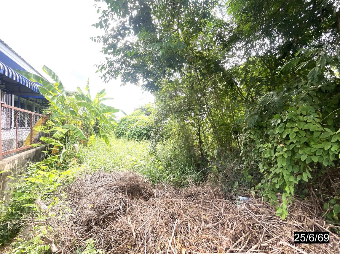 รูป ที่ดินว่างเปล่า 134.9 ตร.วา เมืองขอนแก่น ขอนแก่น 5.4M - รูปที่ 11/17
