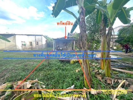 รูป บ้านเดี่ยว 26.7 ตร.วา หาดใหญ่ สงขลา 545,000 - รูปที่ 28/31
