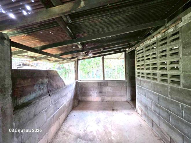 picture HOME 168.6 Sq.w. Fang Chiang Mai for 925,000 - 13/29