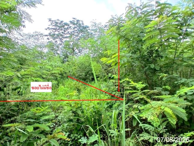 รูป ที่ดินว่างเปล่า 238 ตร.วา วังม่วง สระบุรี 418,000 - รูปที่ 2/11
