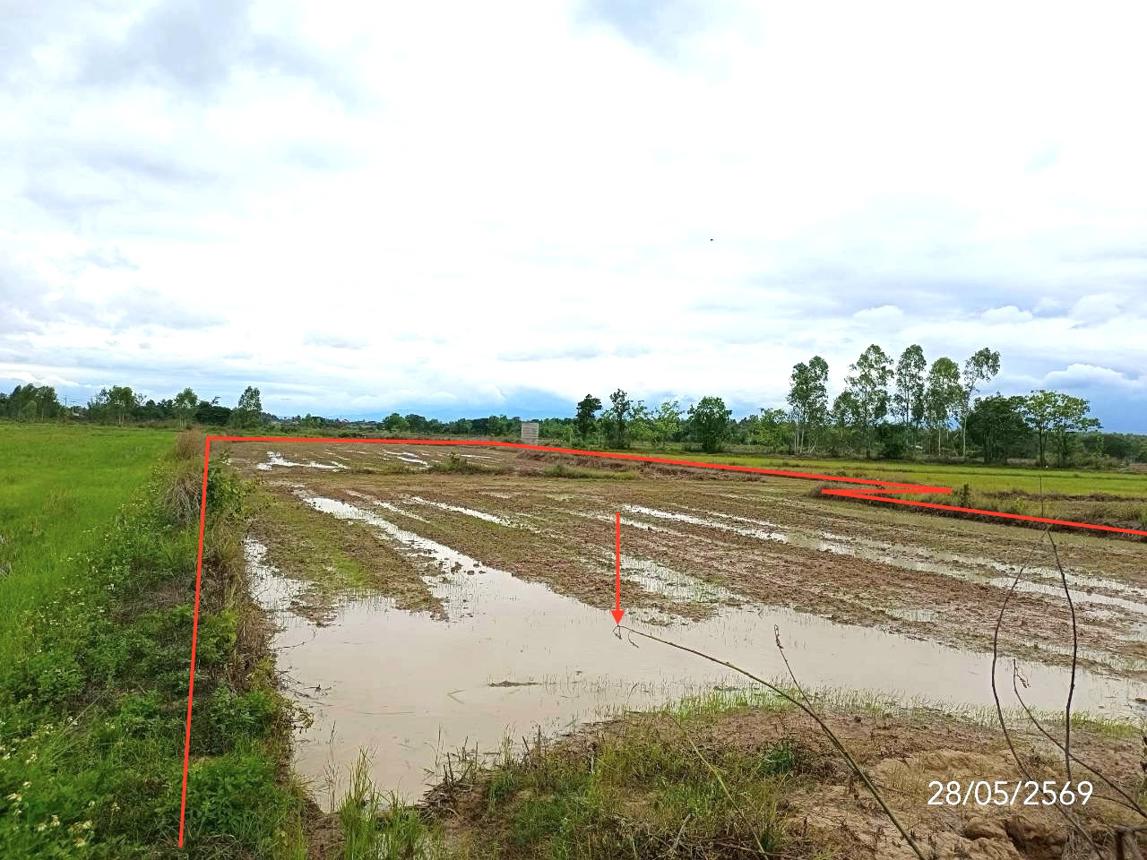 รูป ที่ดินว่างเปล่า 1292.7 ตร.วา เมืองพะเยา พะเยา 860,000 - รูปที่ 9/13