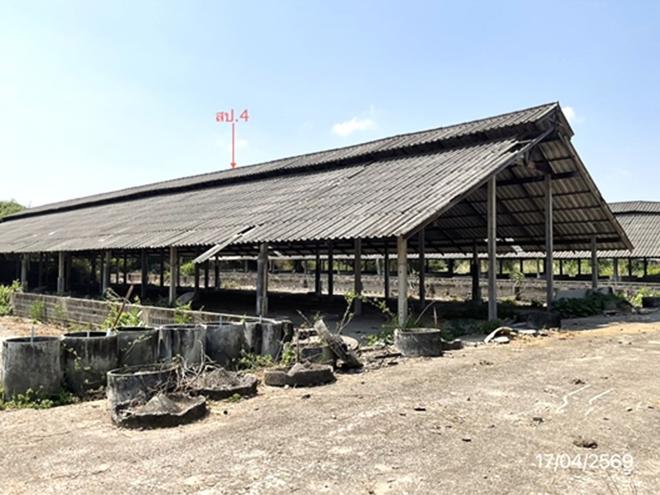 รูป ฟาร์ม 10017 ตร.วา โพธาราม ราชบุรี 12.4M - รูปที่ 11/45