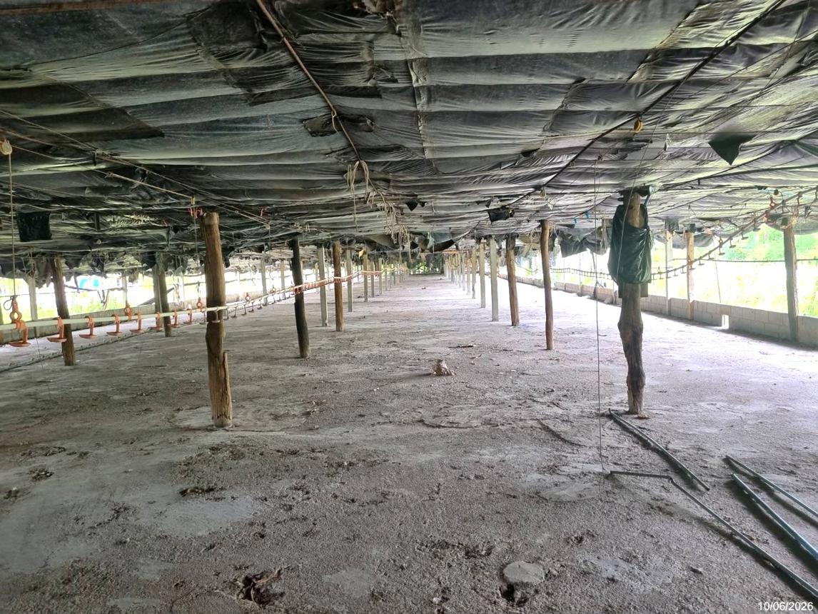 รูป บ้านเดี่ยว 1080 ตร.วา ห้วยกระเจา กาญจนบุรี 3M - รูปที่ 28/35