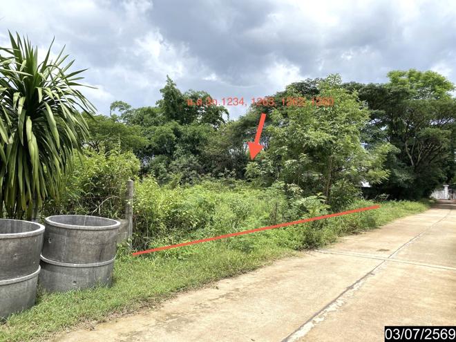 รูป เพิงอเนกประสงค์ 2059 ตร.วา นากลาง หนองบัวลำภู 10.8M - รูปที่ 10/41
