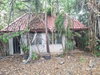 listing thumbnail image 17