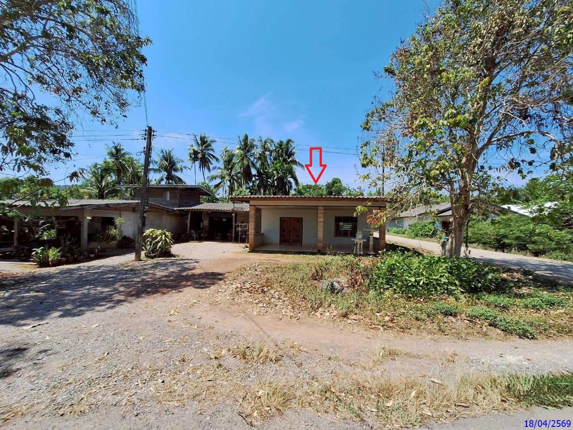 รูป บ้านเดี่ยว 78 ตร.วา รัษฎา ตรัง 1.4M - รูปที่ 12/25