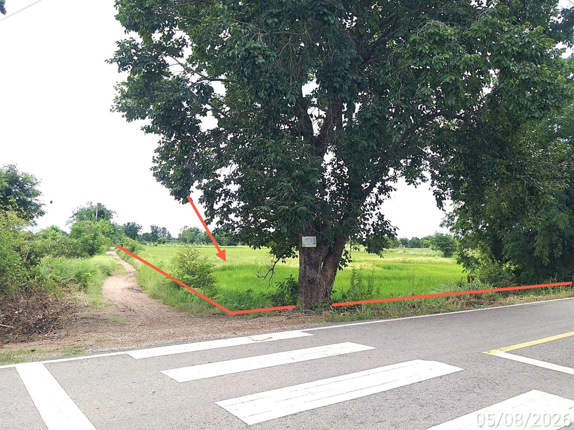 รูป ที่ดินว่างเปล่า 6694 ตร.วา อรัญประเทศ สระแก้ว 6M - รูปที่ 9/17
