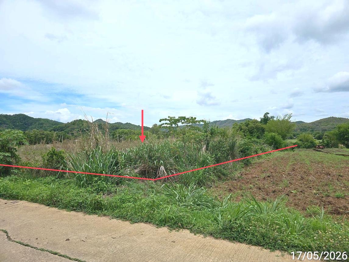 รูป ที่ดินว่างเปล่า 1888.3 ตร.วา เมืองเพชรบูรณ์ เพชรบูรณ์ 1.3M - รูปที่ 12/23