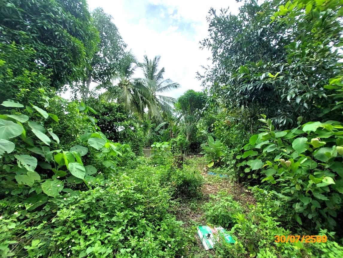 รูป โกดัง 622.6 ตร.วา เมืองสุราษฎร์ธานี สุราษฎร์ธานี 2.7M - รูปที่ 21/25