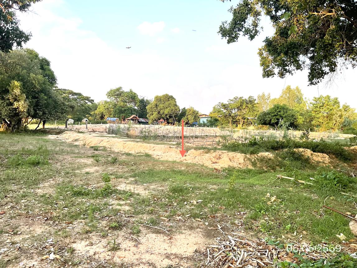 picture LAND 985 Sq.w. Khuang Nai Ubon Ratchathani for 1.4M - 20/25