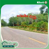 listing thumbnail image 20