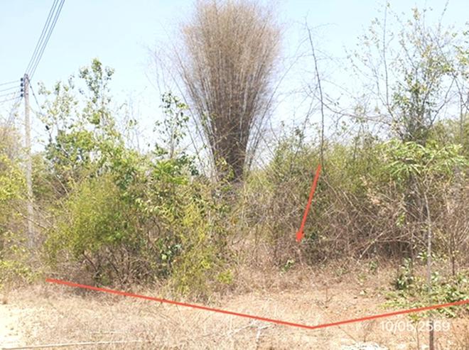 picture LAND 746 Sq.w. Mae Tha Lamphang for 996,000 - 8/25