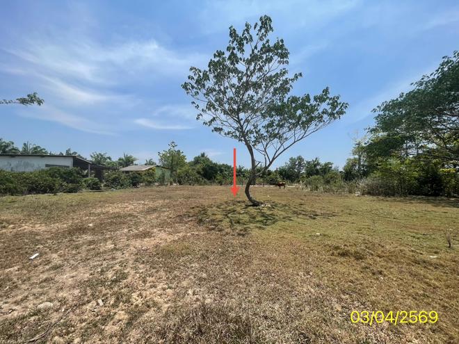 picture LAND 179.2 Sq.w. Kantrang Trang for 1.5M - 8/25