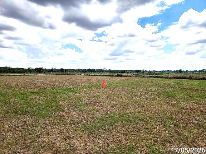 picture LAND 1522.1 Sq.w. Kosum Phisai Maha Sarakham for 419,000 - 6/25