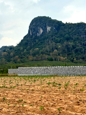 ที่ดิน ชลบุรี : ที่ดินสวยจัด เขาชีจรรย์ เนื้อที่ 20 ไร่ เหมาะทำหมู่บ้านจัดสรร บ้านพัก รีสอร์ท แหล่งท่องเที่ยว ใกล้แหล่งท่องเที่ยว Landmark ระดับ 6 ดาว