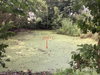 listing thumbnail image 38