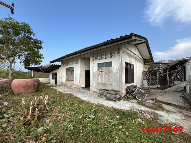 picture HOME 4945 Sq.w. Kanchanadit Surat Thani for 2.3M - 2/47