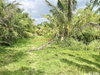 listing thumbnail image 18