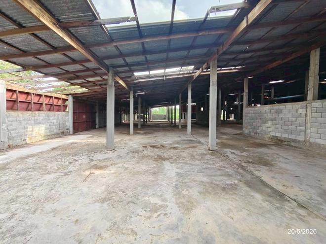 รูป โกดัง 3472 ตร.วา เมืองหนองบัวลำภู หนองบัวลำภู 22.5M - รูปที่ 10/31