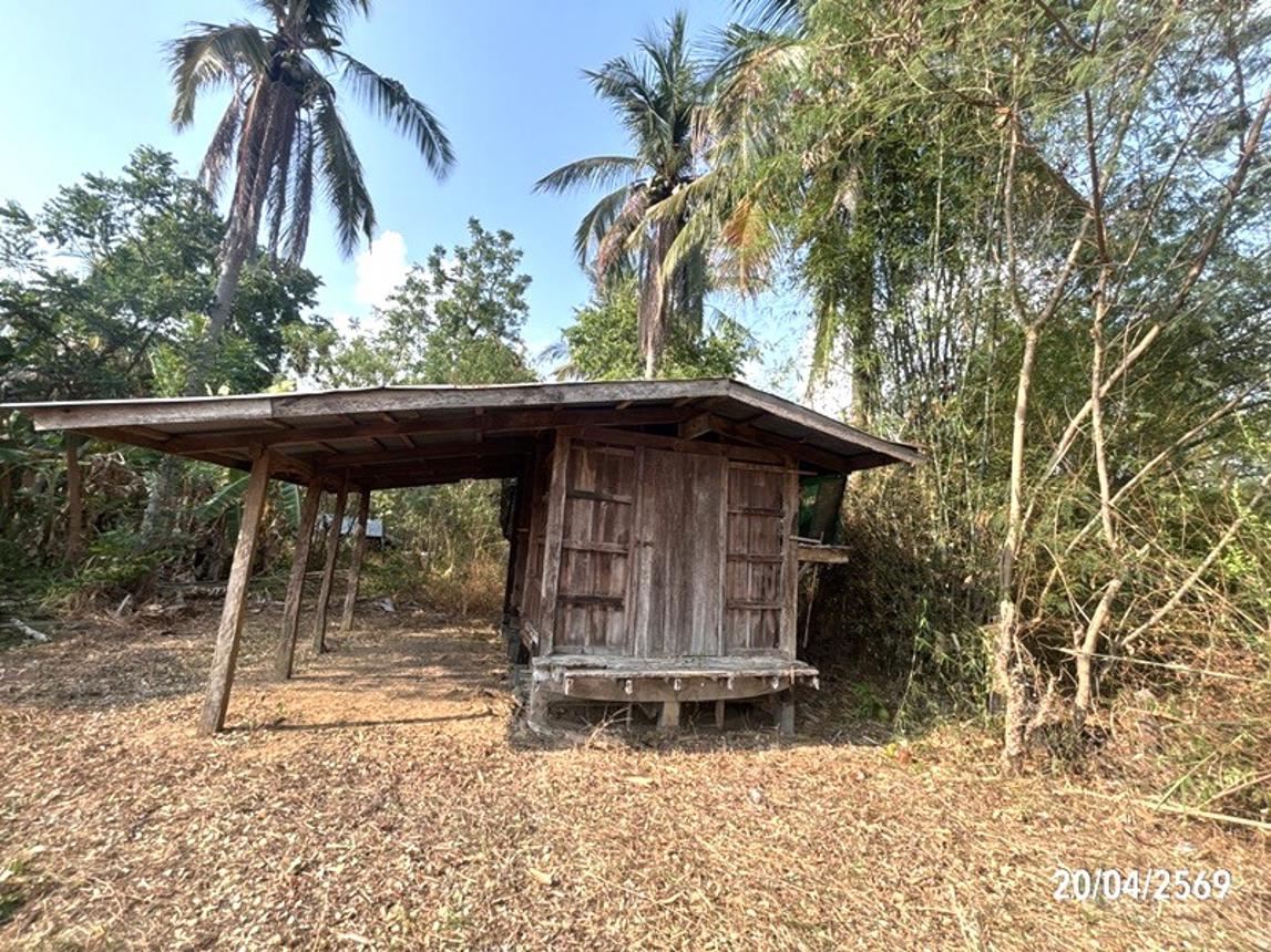 รูป บ้านเดี่ยว 1136 ตร.วา บัวเชด สุรินทร์ 4M - รูปที่ 35/47