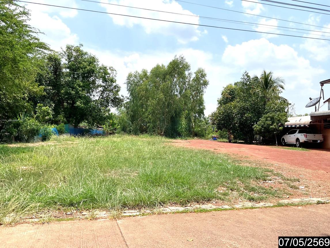 รูป ที่ดินว่างเปล่า 256 ตร.วา ศรีวิไล บึงกาฬ 1.6M - รูปที่ 11/15