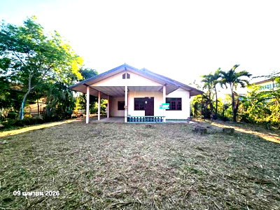 บ้านเดี่ยว สุโขทัย : บ้านเดี่ยว 1000 ตร.วา ศรีนคร สุโขทัย 1.4M
