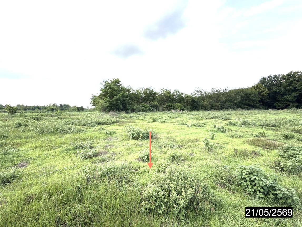 รูป ที่ดินว่างเปล่า 2522 ตร.วา ยางตลาด กาฬสินธุ์ 2.1M - รูปที่ 17/25
