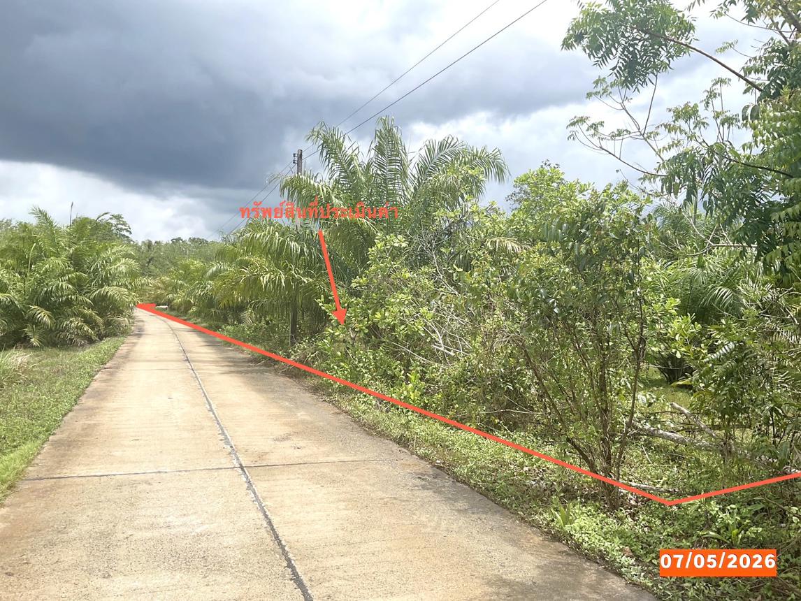 รูป ที่ดินว่างเปล่า 4886 ตร.วา ทุ่งสง นครศรีธรรมราช 3.2M - รูปที่ 8/15