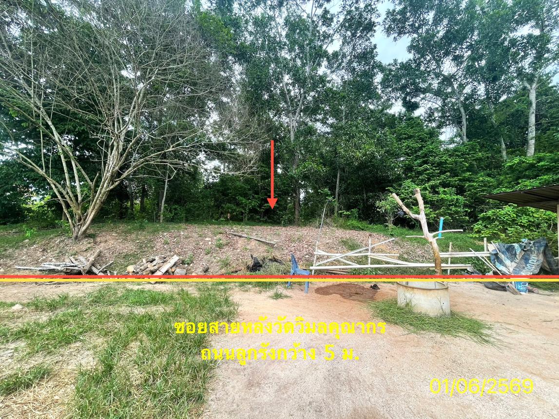 picture LAND 358.5 Sq.w. Hat Yai Songkhla for 2.1M - 13/25