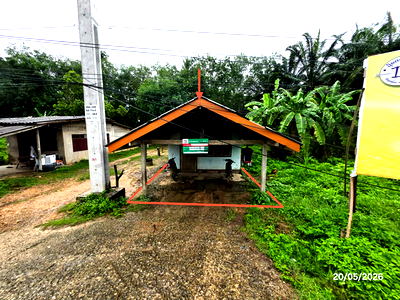 บ้านเดี่ยว สุราษฎร์ธานี : บ้านเดี่ยว 27.7 ตร.วา ชัยบุรี สุราษฎร์ธานี 537,000