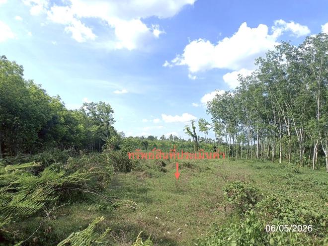 รูป ที่ดินว่างเปล่า 3226.4 ตร.วา ห้วยยอด ตรัง 2.4M - รูปที่ 7/19