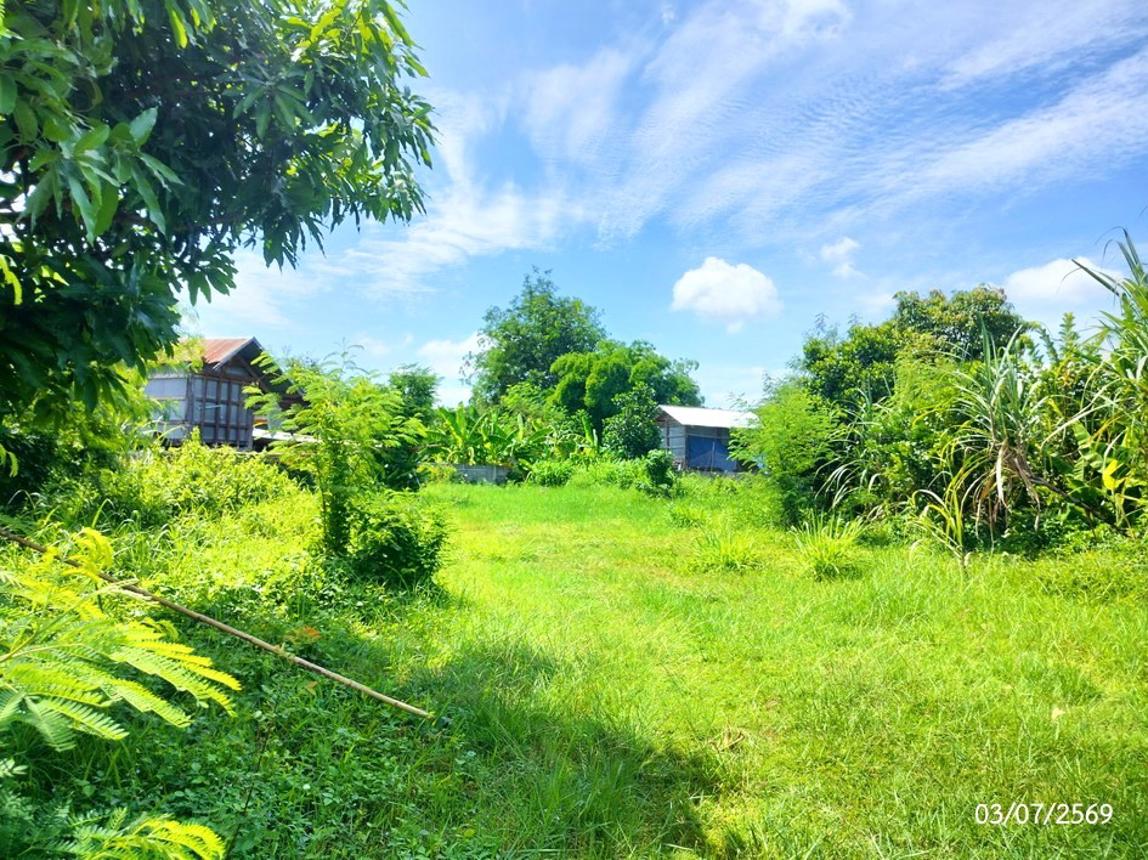 picture HOME 262 Sq.w. Waritchaphum Sakon Nakhon for 2.6M - 9/15