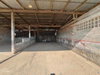 listing thumbnail image 51