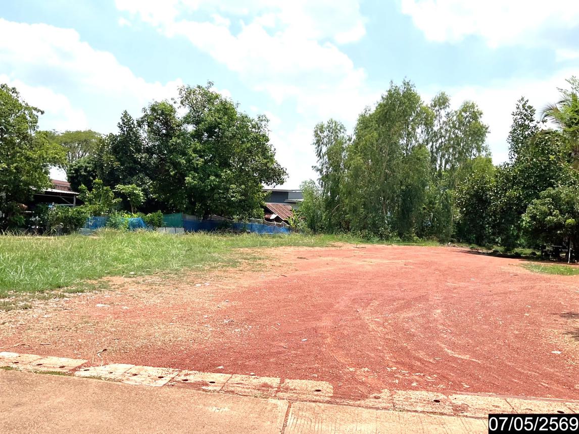 รูป ที่ดินว่างเปล่า 256 ตร.วา ศรีวิไล บึงกาฬ 1.6M - รูปที่ 9/15
