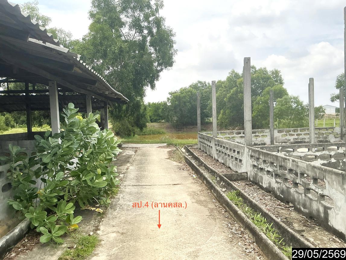 รูป ฟาร์ม 3846 ตร.วา กระสัง บุรีรัมย์ 3.3M - รูปที่ 31/35