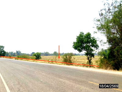 Land for sale Ban Dan Lan Hoi Sukhothai : LAND 4661 Sq.w. Ban Dan Lan Hoi Sukhothai for 4.6M