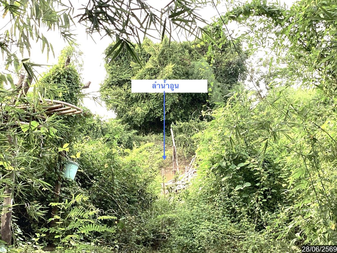 picture LAND 1358 Sq.w. Phanna Nikhom Sakon Nakhon for 1.1M - 17/21